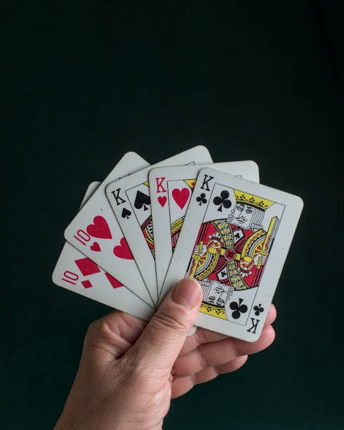 hi222 প্ল্যান্টস বনাম ডাইনো গেম স্ক্রিনশট
